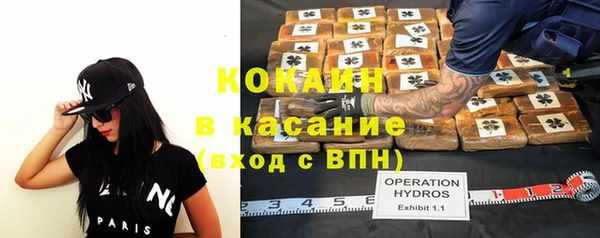 гашик Арсеньев