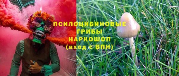 a pvp Богородск