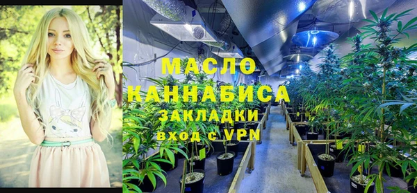 прущие грибы Балабаново
