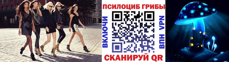 Псилоцибиновые грибы Psilocybe  дарнет шоп  Дедовск 